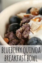 blueberry quinoa breakfast bowl rezept